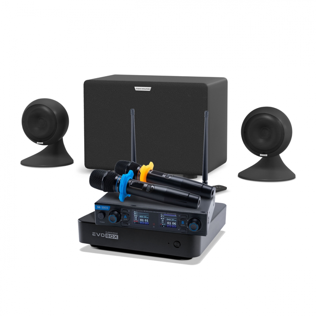 караоке-комплект EVOBOX + EvoSound Sphere 2.1 в Магнитогорске