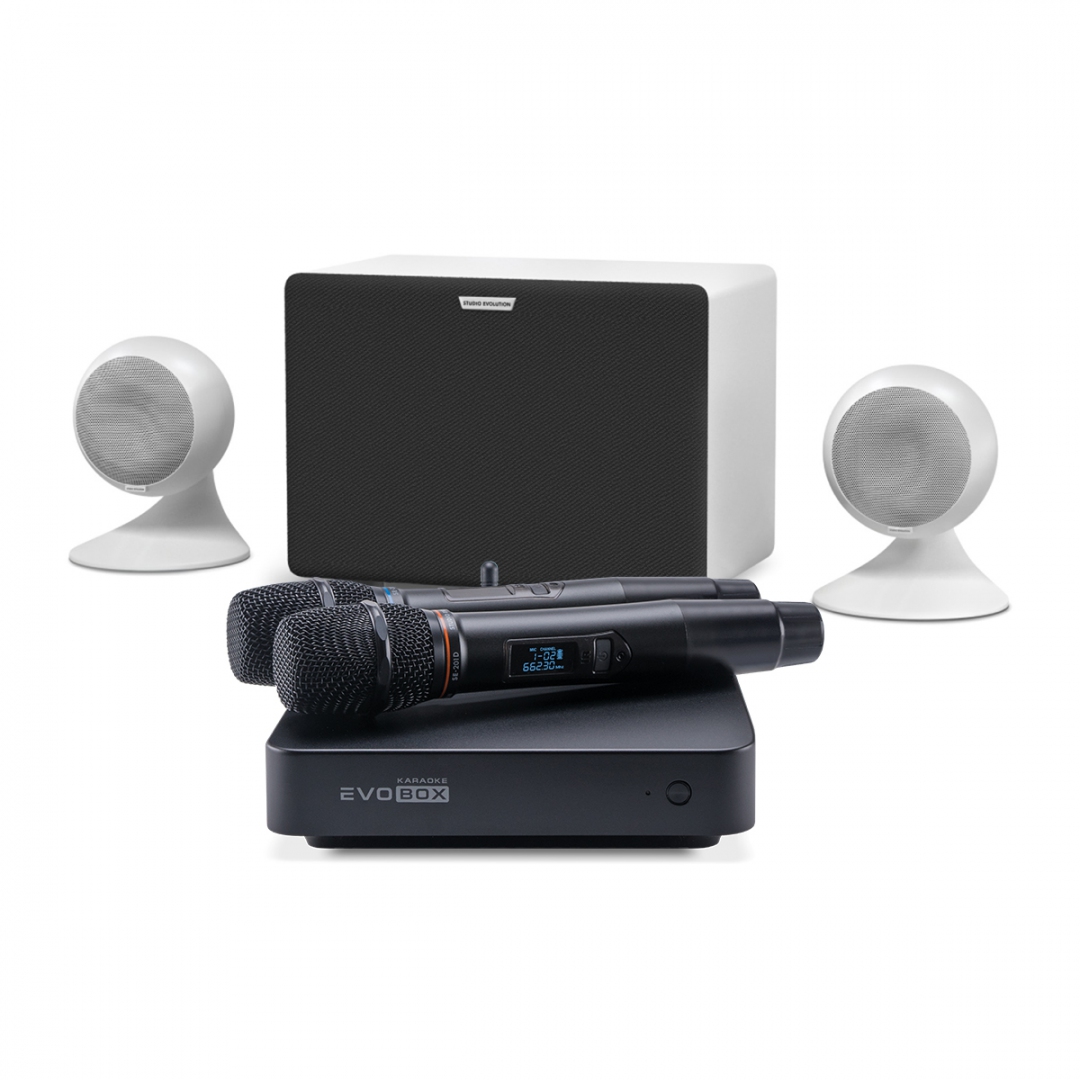 караоке-комплект EVOBOX Classic + EvoSound Sphere 2.1 в Магнитогорске